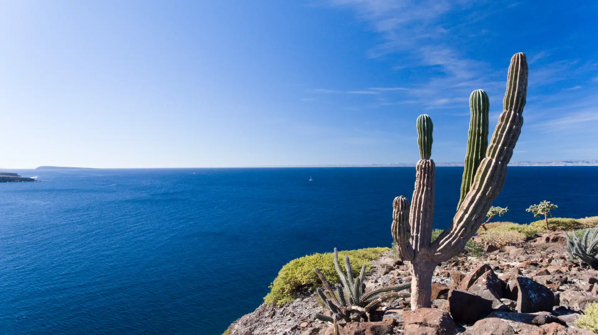 La Ventana: Wind, Water & Wilderness