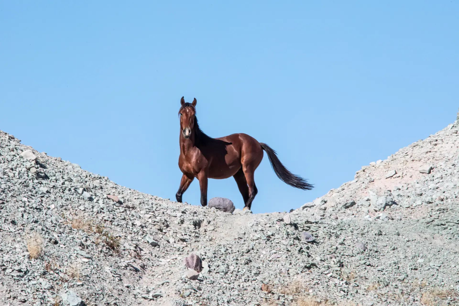 San Juan de la Costa: Desert Monasteries & Marine Wonders