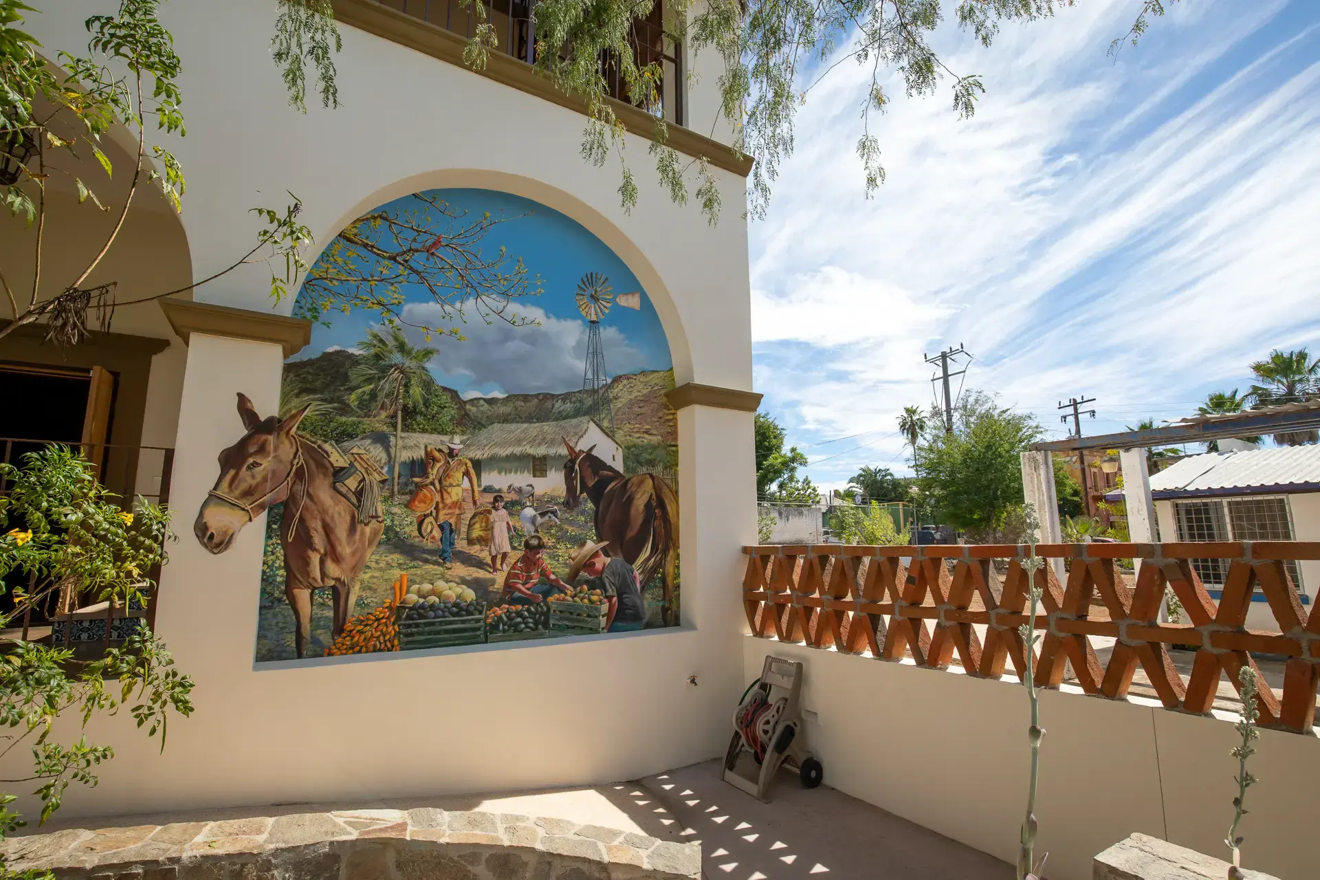 Beautiful pictures of our journeys at El Triunfo — Stories of Baja.