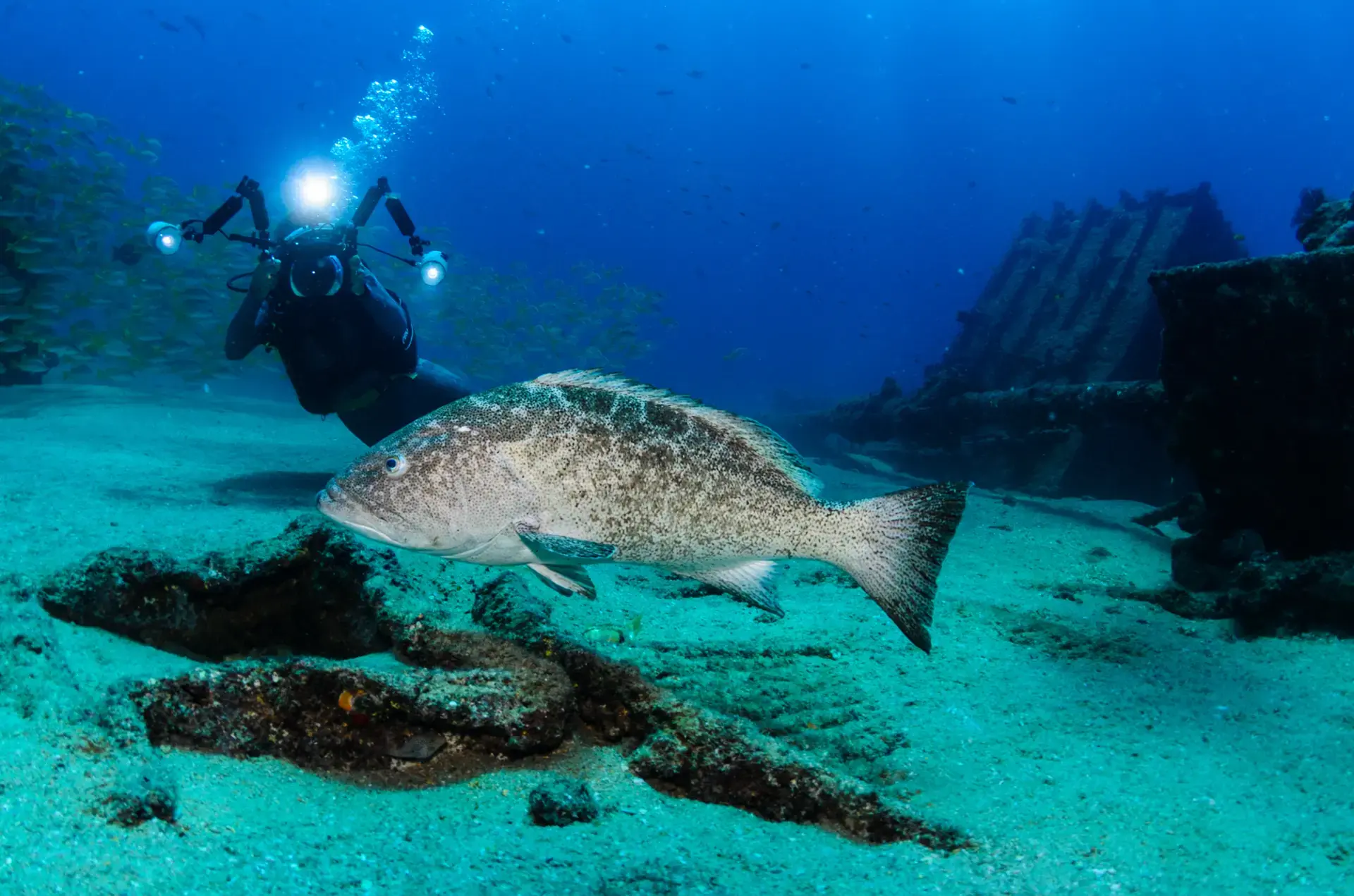 Beautiful pictures of our journeys at Cabo Pulmo: Beneath the Surface.