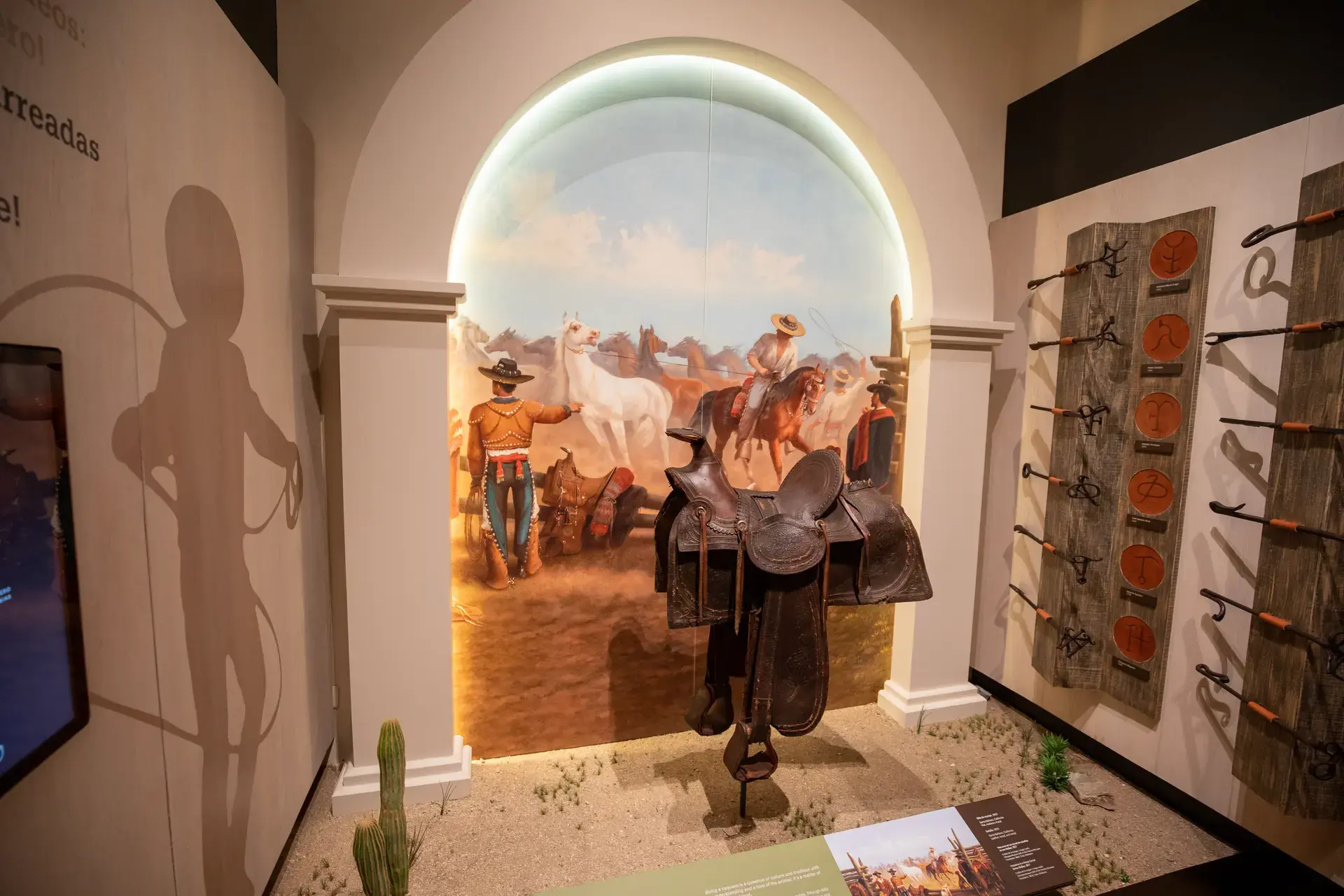 Beautiful pictures of our journeys at El Triunfo — Stories of Baja.