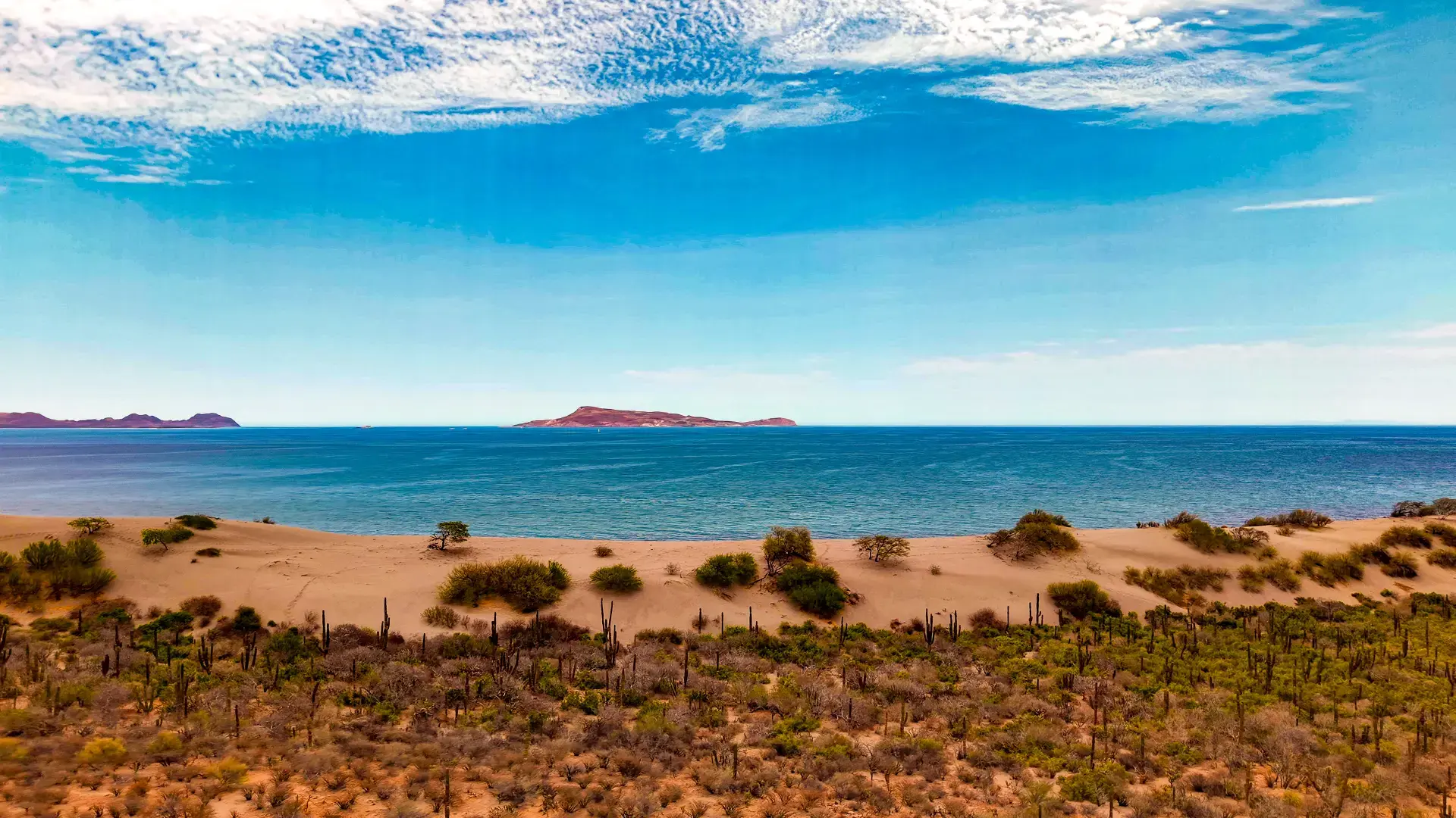 Beautiful pictures of our journeys at La Paz to San Evaristo.