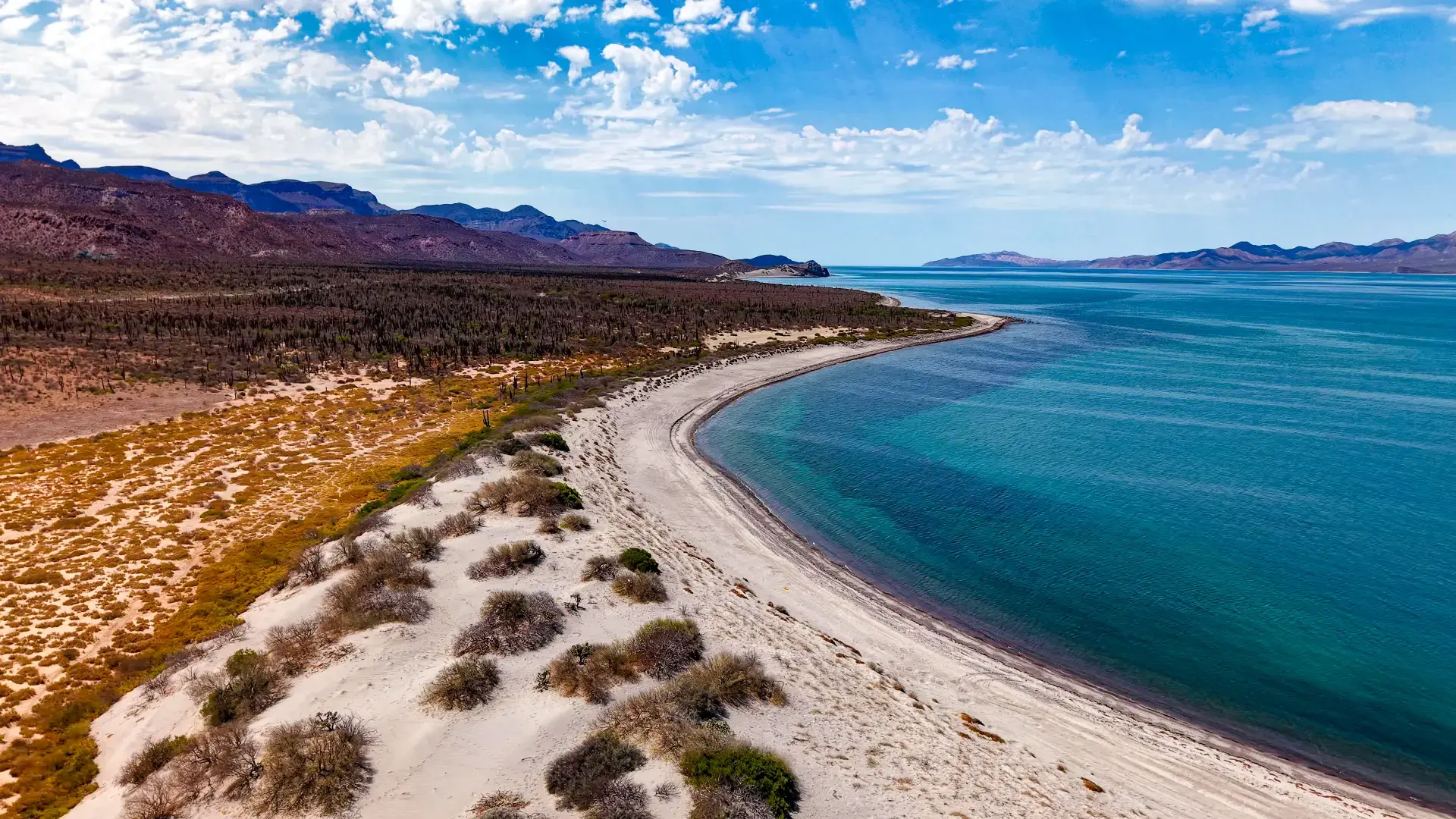 Beautiful pictures of our journeys at La Paz to San Evaristo.
