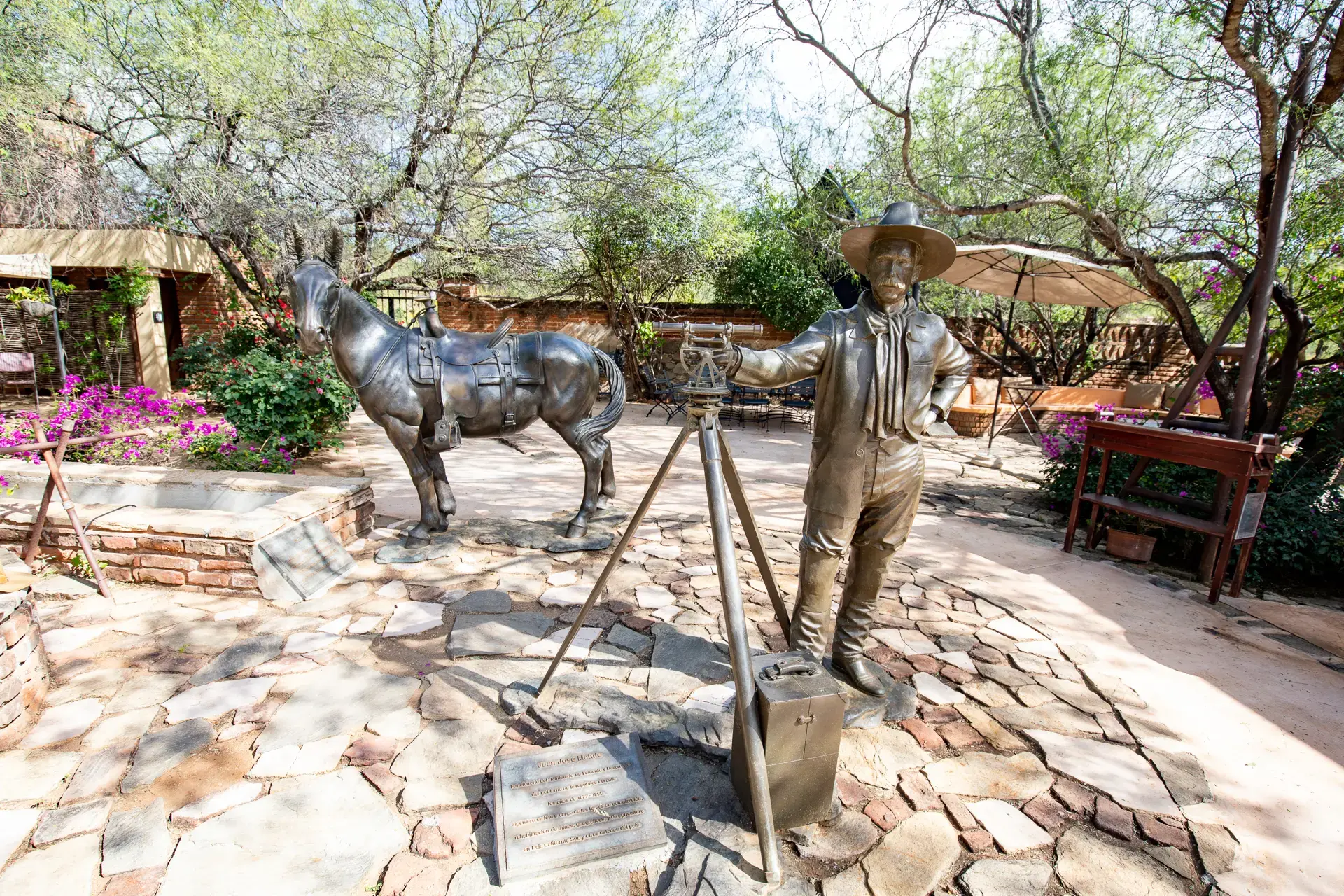 Beautiful pictures of our journeys at El Triunfo — Stories of Baja.