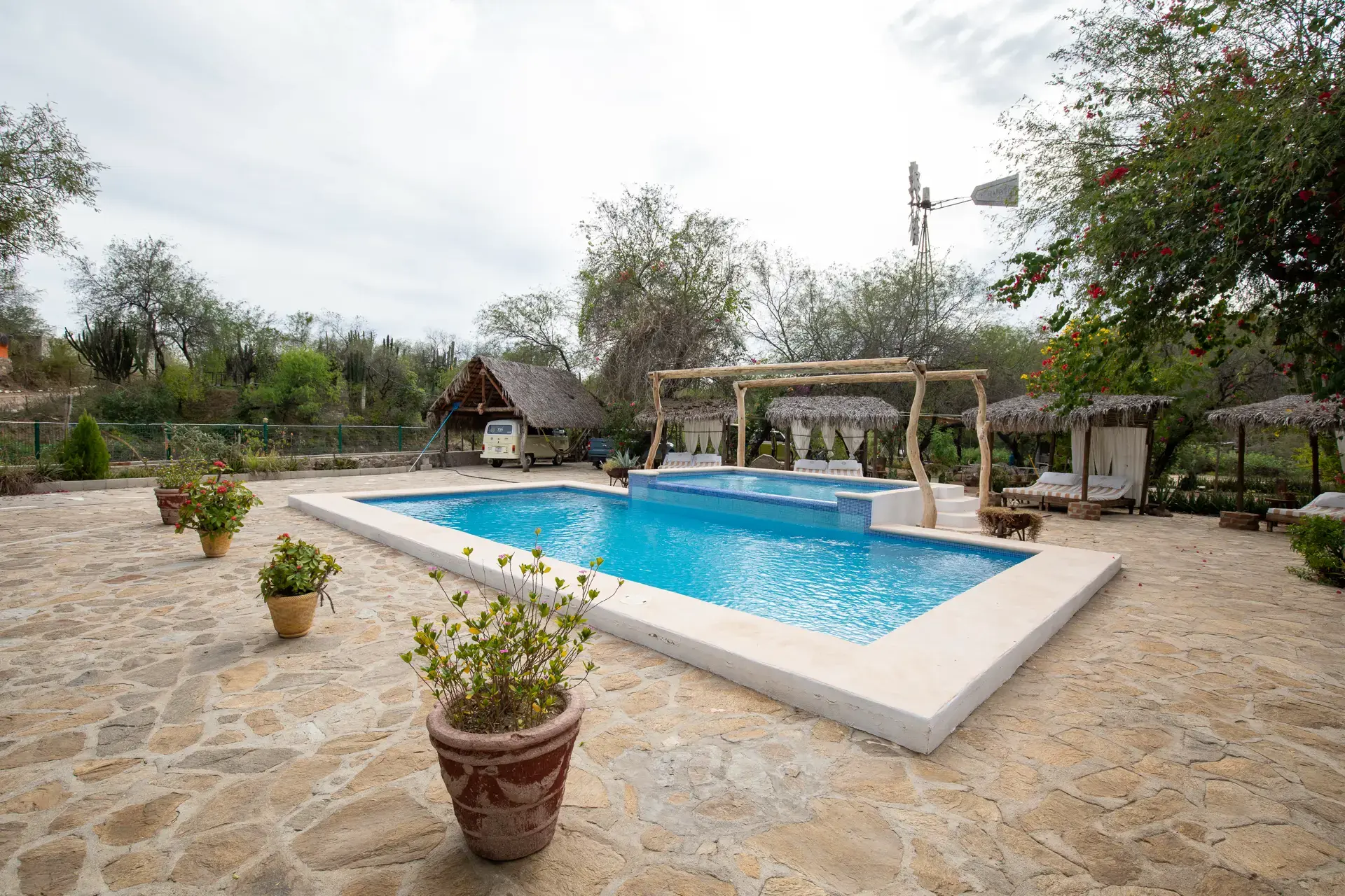 Beautiful pictures of our journeys at El Triunfo — Stories of Baja.