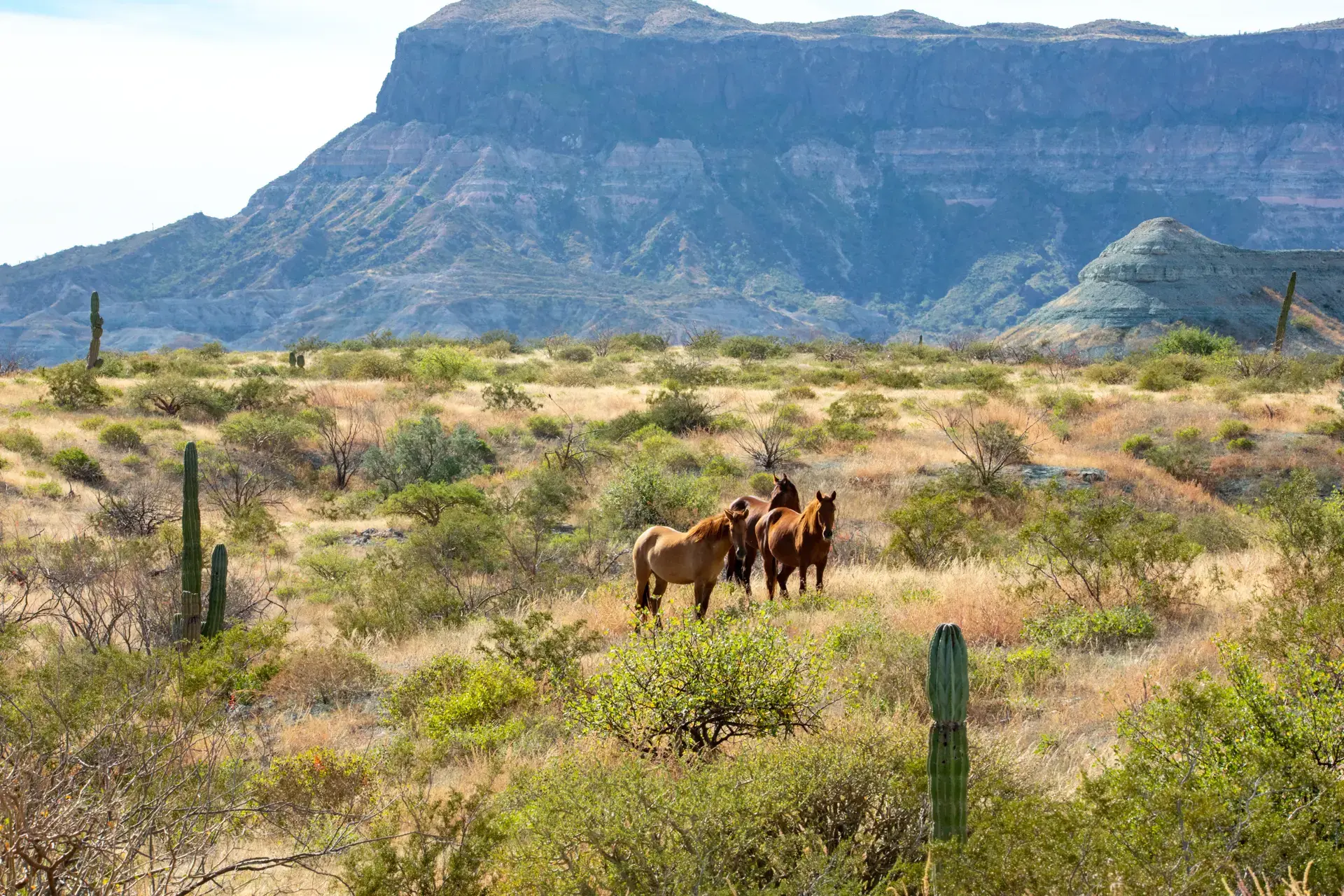 Beautiful pictures of our journeys at The Unseen Coast — San Juan de la Costa.