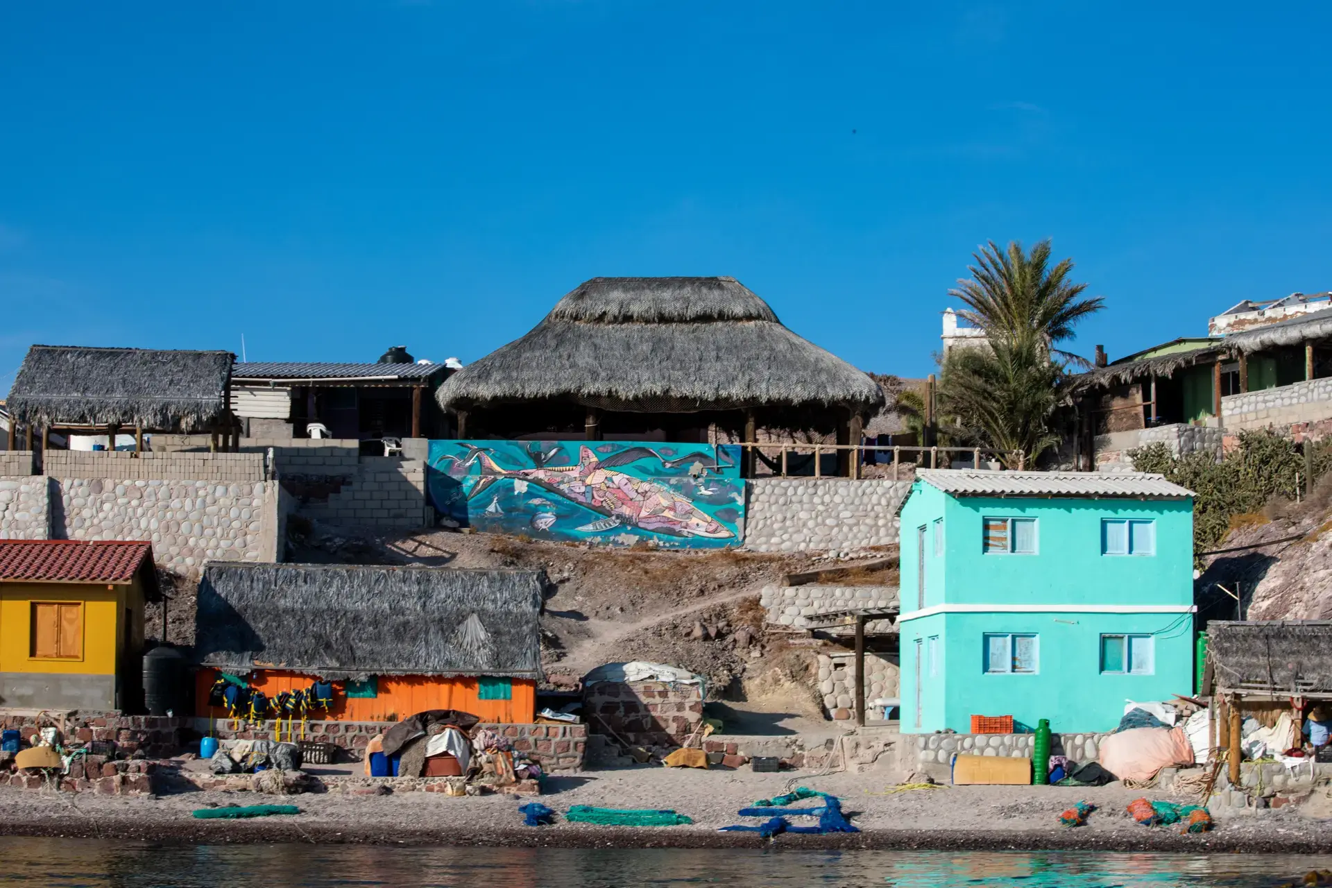 Beautiful pictures of our journeys at La Paz to San Evaristo.