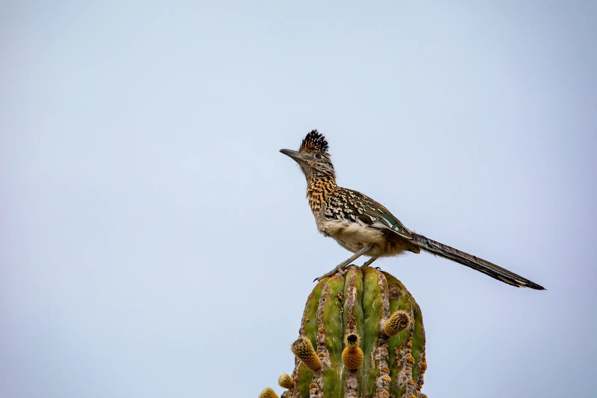 Beautiful pictures of our journeys at The Unseen Coast — San Juan de la Costa.