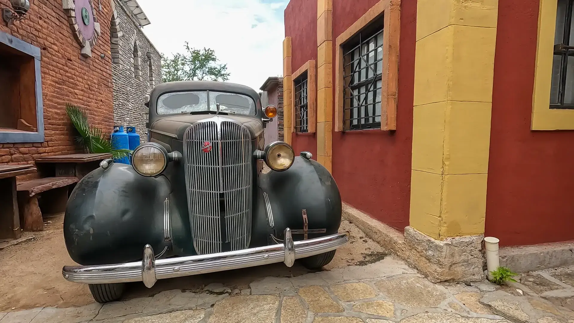 Beautiful pictures of our journeys at El Triunfo — Stories of Baja.
