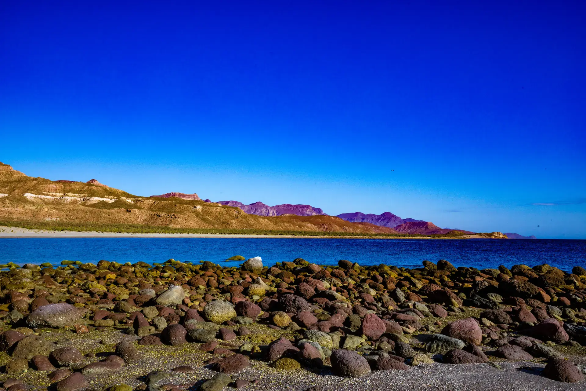 Beautiful pictures of our journeys at La Paz to San Evaristo.