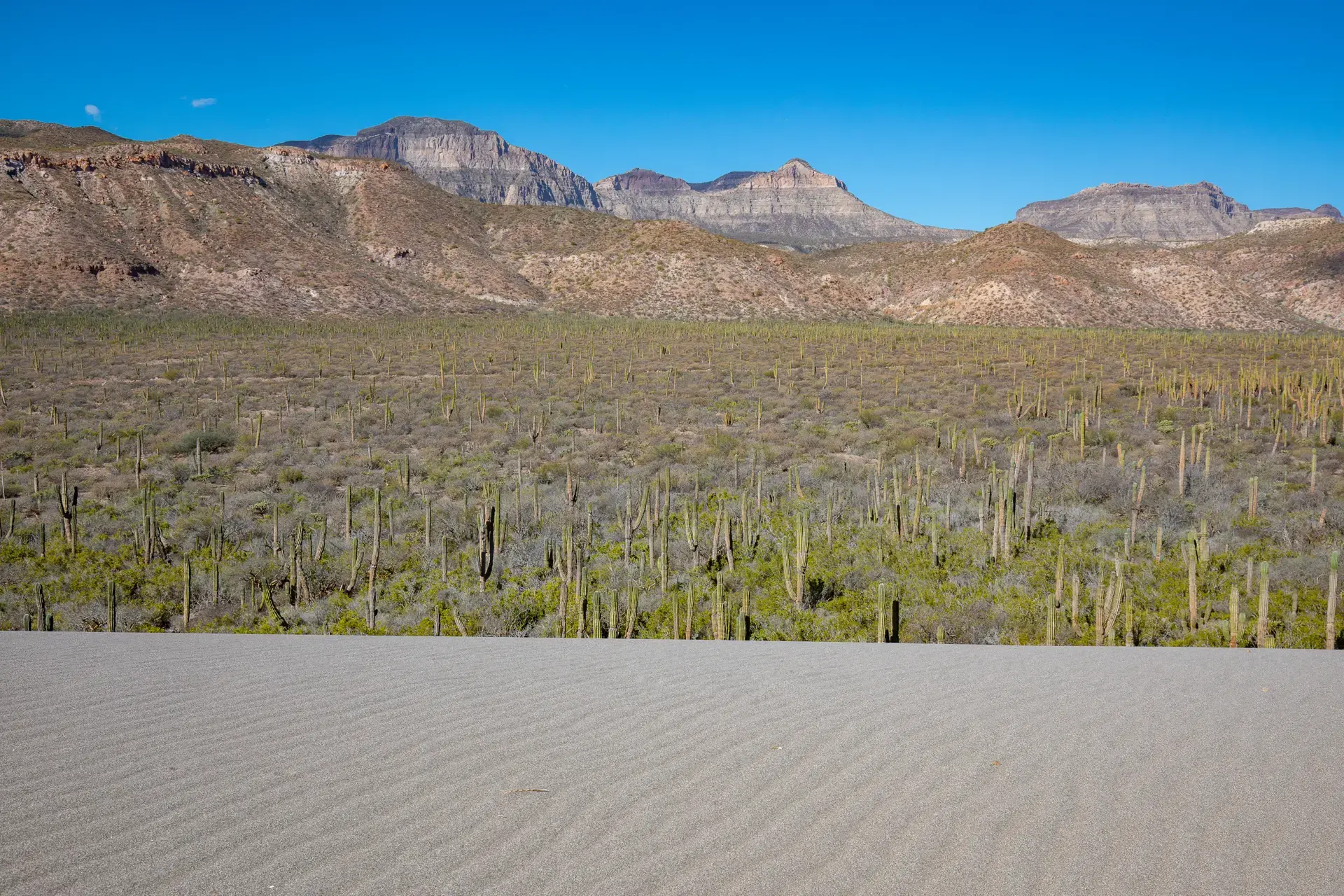 Beautiful pictures of our journeys at La Paz to San Evaristo.