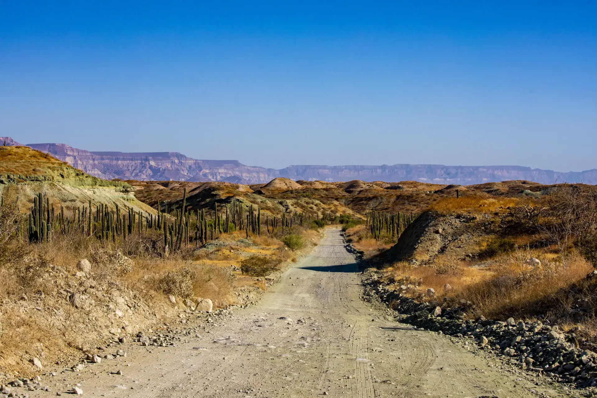 Beautiful pictures of our journeys at The Unseen Coast — San Juan de la Costa.
