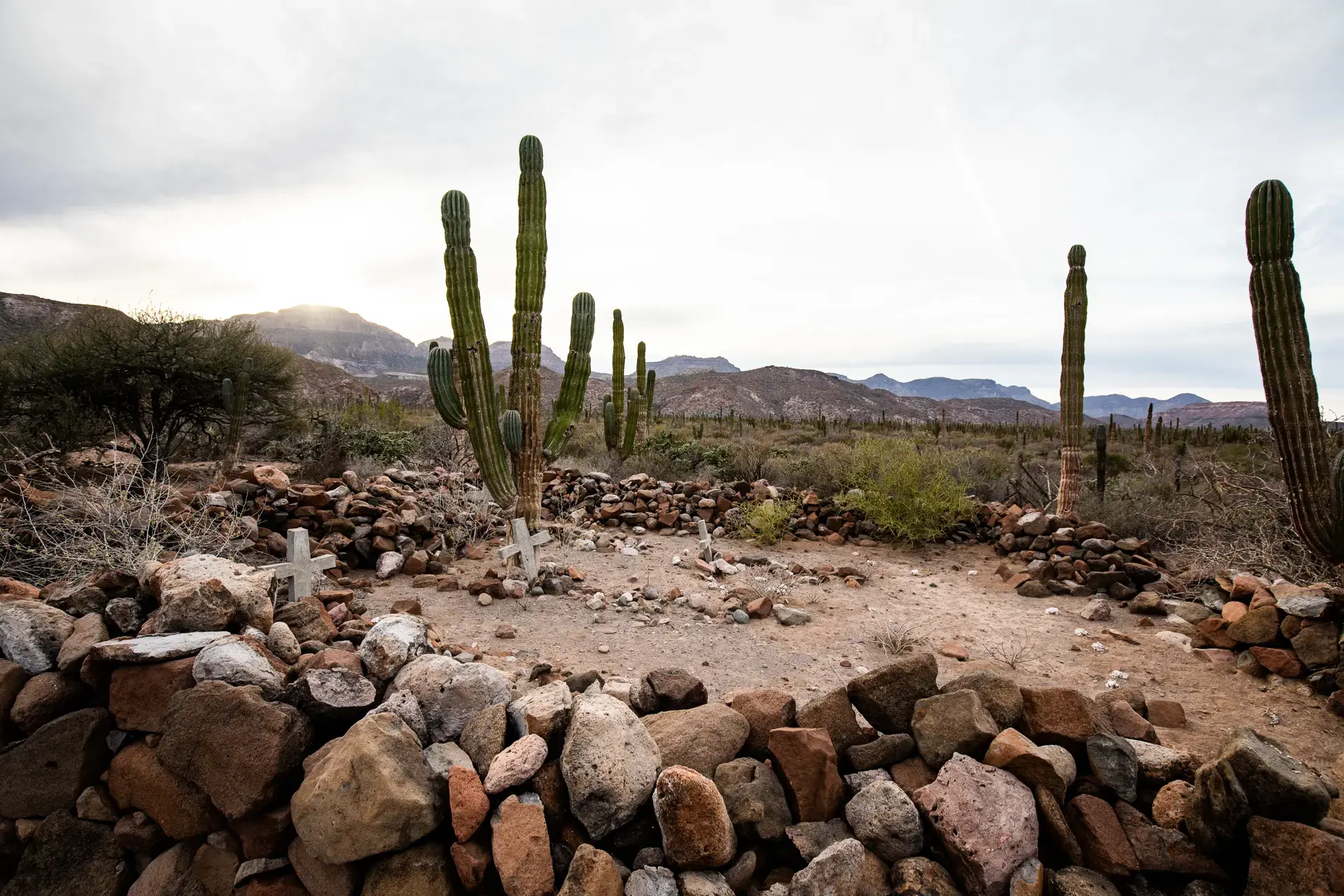 Beautiful pictures of our journeys at La Paz to San Evaristo.